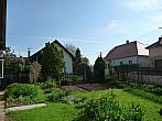 Třibřichy